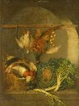 Pheasants, Cabbage and a Bottle of Wine on a Table-Benjamin Blake-Framed Giclee Print