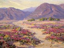 Spring Bloom in the Desert-Benjamin Chambers-Stretched Canvas