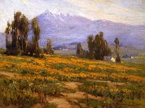 Springtime San Gabriel Valley-Benjamin Chambers-Stretched Canvas