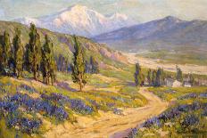 Springtime San Gabriel Valley-Benjamin Chambers-Stretched Canvas