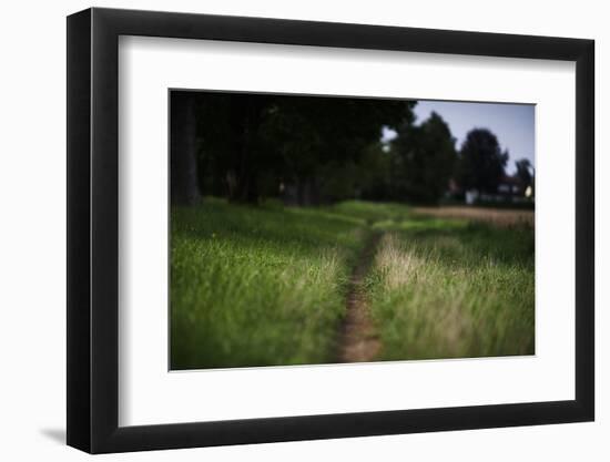 Photographic Print, , large