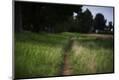 Photographic Print