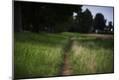 Photographic Print