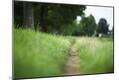 Photographic Print