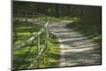 Photographic Print