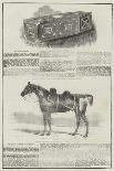 Epsom Races, Portraits of the Winners of the Derby and the Oaks-Benjamin Herring-Giclee Print