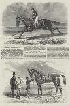 Epsom Races, 1852, Daniel O'Rourke, the Winner of The Derby Stakes-Benjamin Herring-Giclee Print