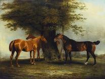 Hunters at Grass, 1801-Benjamin Marshall-Giclee Print