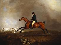 Thomas Mellish on His Hunter 'saucebox'-Benjamin Marshall-Giclee Print