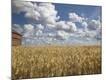 Photographic Print
