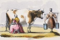 For Milk and Cheese, C1845-Benjamin Waterhouse Hawkins-Giclee Print