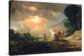 Stretched Canvas Print