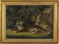 Tiger in a Jungle Landscape-Benjamin Zobel-Laminated Giclee Print