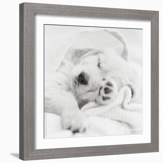 Benjamin-Rachael Hale-Framed Photo