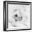 Benjamin-Rachael Hale-Framed Photo