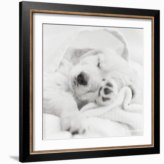 Benjamin-Rachael Hale-Framed Photo