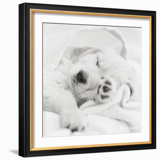 Benjamin-Rachael Hale-Framed Photo