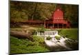 Premium Photographic Print
