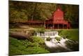 Photographic Print