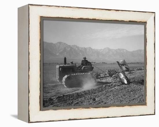 Benji Iguchi driving a tractor, Manzanar Relocation Center, California, 1943-Ansel Adams-Framed Premier Image Canvas