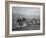 Benji Iguchi driving a tractor, Manzanar Relocation Center, California, 1943-Ansel Adams-Framed Photographic Print