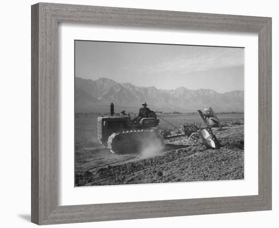 Benji Iguchi driving a tractor, Manzanar Relocation Center, California, 1943-Ansel Adams-Framed Photographic Print