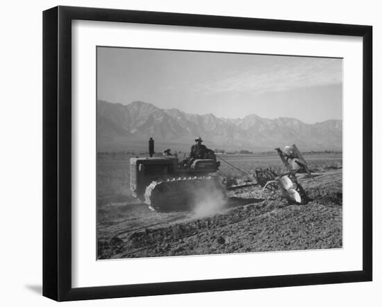 Benji Iguchi driving a tractor, Manzanar Relocation Center, California, 1943-Ansel Adams-Framed Photographic Print