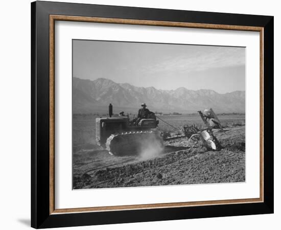 Benji Iguchi driving a tractor, Manzanar Relocation Center, California, 1943-Ansel Adams-Framed Photographic Print