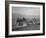 Benji Iguchi driving a tractor, Manzanar Relocation Center, California, 1943-Ansel Adams-Framed Photographic Print