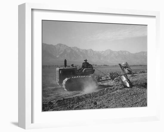 Benji Iguchi driving a tractor, Manzanar Relocation Center, California, 1943-Ansel Adams-Framed Photographic Print