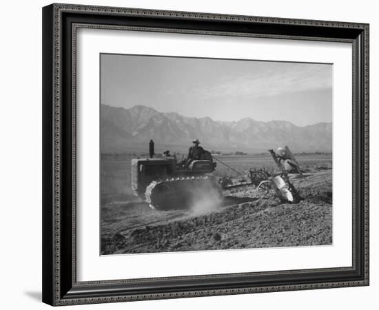 Benji Iguchi driving a tractor, Manzanar Relocation Center, California, 1943-Ansel Adams-Framed Photographic Print