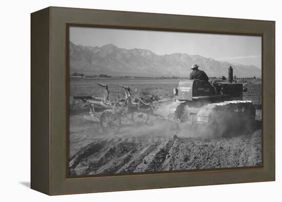 Benji Iguchi Driving Tractor in Field-Ansel Adams-Framed Stretched Canvas