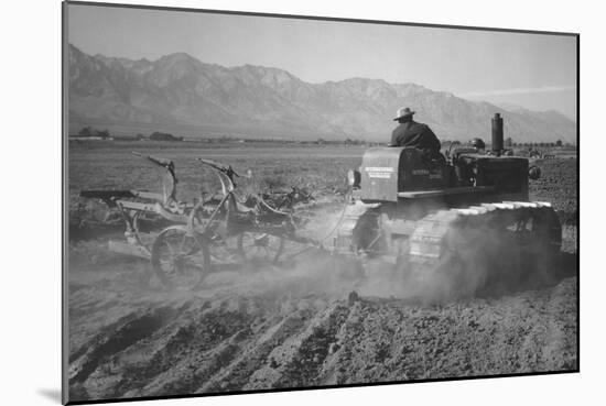 Benji Iguchi Driving Tractor in Field-Ansel Adams-Mounted Art Print