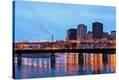 Stretched Canvas Print