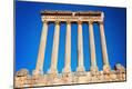 Photographic Print