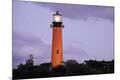 Premium Photographic Print