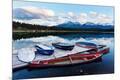Photographic Print