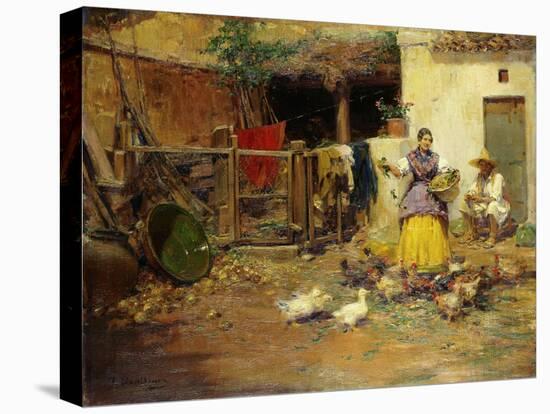 Stretched Canvas Print, , large