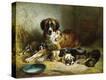 Stretched Canvas Print