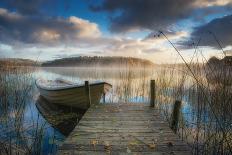 In the Early Morning-Benny Pettersson-Framed Photographic Print