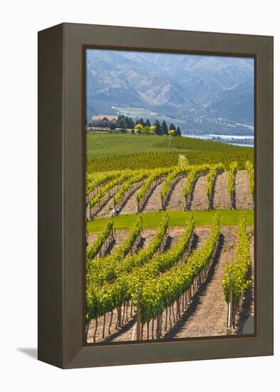 Benson Vineyards Estate Winery, Lake Chelan, Washington, USA-Richard Duval-Framed Premier Image Canvas