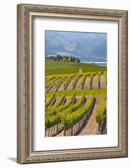 Benson Vineyards Estate Winery, Lake Chelan, Washington, USA-Richard Duval-Framed Photographic Print