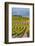 Benson Vineyards Estate Winery, Lake Chelan, Washington, USA-Richard Duval-Framed Photographic Print