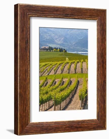 Benson Vineyards Estate Winery, Lake Chelan, Washington, USA-Richard Duval-Framed Photographic Print