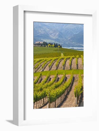 Benson Vineyards Estate Winery, Lake Chelan, Washington, USA-Richard Duval-Framed Photographic Print