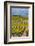 Benson Vineyards Estate Winery, Lake Chelan, Washington, USA-Richard Duval-Framed Photographic Print