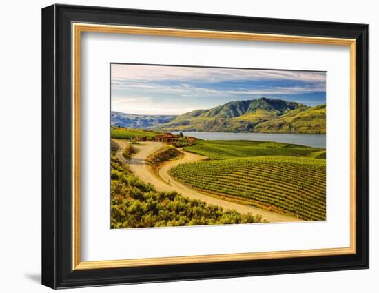 Benson Vineyards Estate Winery, Lake Chelan, Washington, USA-Richard Duval-Framed Photographic Print