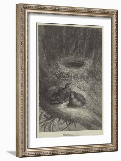 Bent Upon Adventurous Quest, These Bold Birdies Leave their Nest-null-Framed Giclee Print