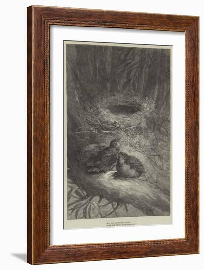 Bent Upon Adventurous Quest, These Bold Birdies Leave their Nest-null-Framed Giclee Print