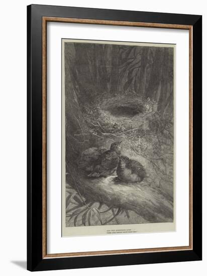 Bent Upon Adventurous Quest, These Bold Birdies Leave their Nest-null-Framed Giclee Print